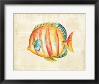 Aquarium Fish II Framed Print
