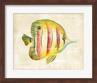 Aquarium Fish III Fine Art Print