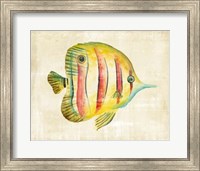 Aquarium Fish III Fine Art Print