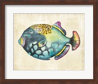 Aquarium Fish IV Fine Art Print
