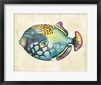 Aquarium Fish IV Framed Print