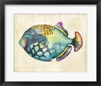 Aquarium Fish IV Framed Print