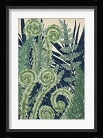 Fiddlehead Waltz I Framed Print