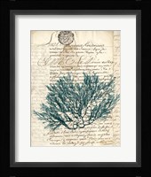 Vintage Teal Seaweed I Fine Art Print