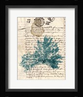Vintage Teal Seaweed III Fine Art Print