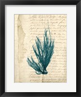 Vintage Teal Seaweed IX Fine Art Print