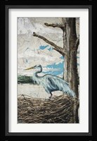 Midway Heron I Framed Print