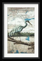 Midway Heron II Framed Print