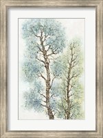 Tranquil Tree Tops I Fine Art Print