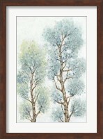 Tranquil Tree Tops II Fine Art Print