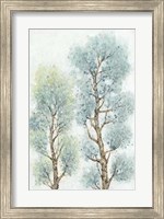 Tranquil Tree Tops II Fine Art Print
