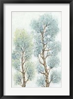 Tranquil Tree Tops II Framed Print