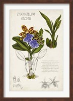 Orchid Field Notes II Fine Art Print