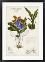 Orchid Field Notes II Fine Art Print