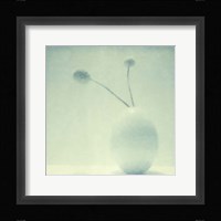 Color Shade II Framed Print