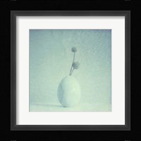 Color Shade III Fine Art Print