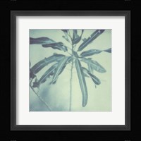 Color Shade VIII Framed Print