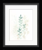 Sprout Flowers I Framed Print