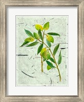 Olives on Textured Paper I Fine Art Print