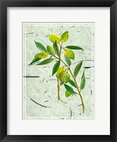 Olives on Textured Paper I Fine Art Print