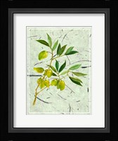 Olives on Textured Paper II Fine Art Print