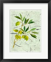 Olives on Textured Paper II Framed Print