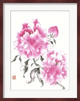 Peonie Blossoms I Fine Art Print