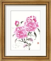 Peonie Blossoms II Fine Art Print