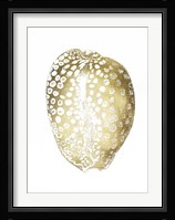 Gold Foil Shell II Framed Print