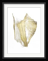 Gold Foil Shell III Framed Print