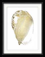 Gold Foil Shell IV Fine Art Print