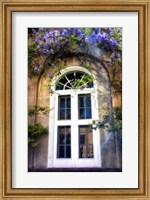 Wisteria Fine Art Print