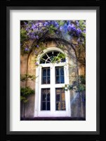 Wisteria Fine Art Print