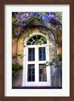 Wisteria Fine Art Print