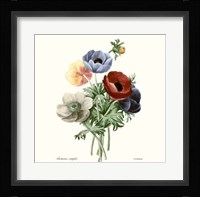 Blushing Bouquet I Framed Print