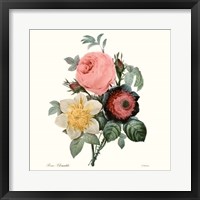 Blushing Bouquet II Fine Art Print