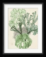 Seaweed Composition I Framed Print