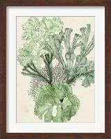Seaweed Composition I Fine Art Print