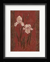 Iris Design Framed Print