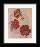 Red Hibiscus Fine Art Print