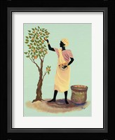 Picking Mangos Fine Art Print