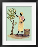 Picking Mangos Fine Art Print