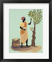 Picking Pears Fine Art Print