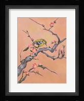 Asian Bird 1 Fine Art Print
