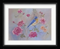 Blue Bird In Roses Framed Print