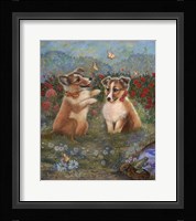 Shelties Fine Art Print
