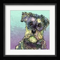 Schnauzer 1 Fine Art Print