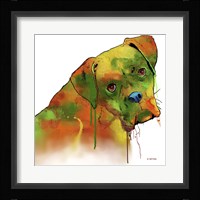 Boxer 2 Fine Art Print