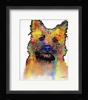 Cairn Terrier 1 Fine Art Print