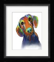 Dachshund 1 Fine Art Print
